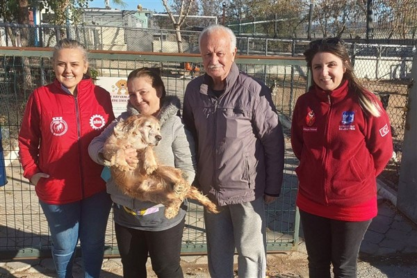 Çanakkale'de 660 sokak hayvanının muayene ve tedavisi yapıldı