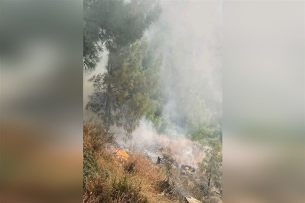 İskenderun'da ormanlık alanda yangın çıktı