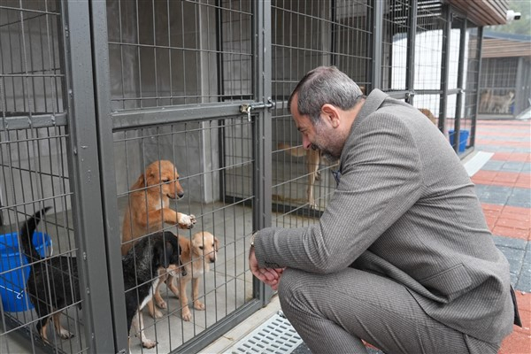 Gürsu Rehabilitasyon Merkezi'nde bir yılda 5 bin sokak hayvanı hizmet aldı