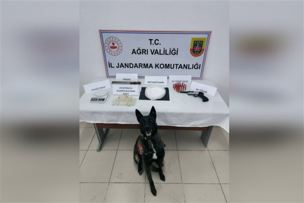 Ağrı'da asayiş uygulaması: 1 gözaltı