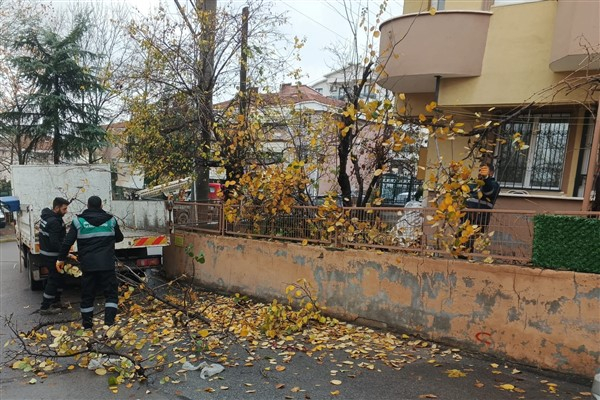 Derince Belediyesi ekipleri yeşil alanlar ve parkların bakımlarını sürdürüyor