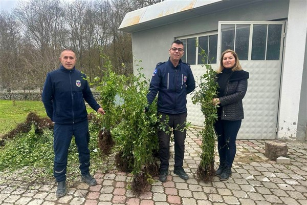 ″Samsun Tarımında Yeşil Yoldan Yeşil Bahçelere Projesi” hayata geçirildi