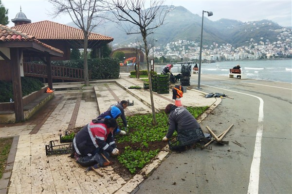 Ordu'da dalgaların verdiği hasar onarılıyor