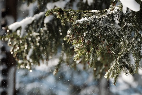 Meteoroloji’den Doğu Karadeniz ve Doğu Anadolu Bölgeleri için uyarı