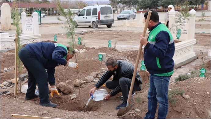 Büyükşehir Belediyesi’nden Mezarlıkta Ağaçlandırma Çalışması