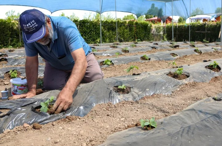 Konya'da Hobi Bahçeleri İçin Başvurular 15 Ocak'ta Başlıyor