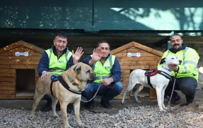 İETT'nin Patili Dostlar Ailesine Yeni Üyeler Katıldı