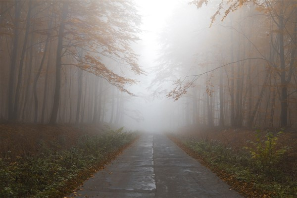 Meteoroloji'den buzlanma, don, çığ ve sis uyarısı