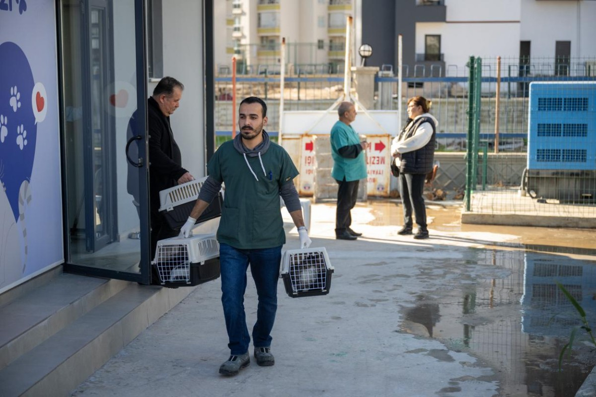 Büyükşehir'den Yeni Bir Adım: 'Kedi Kısırlaştırma Merkezi' Açıldı