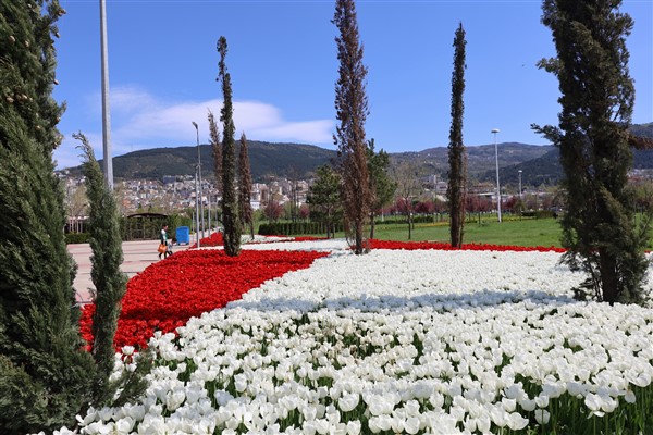 Baharın renkleri Bursa’yı sardı