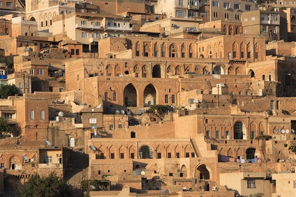 Bakan Işıkhan, Mardin’de ziyaretler gerçekleştirdi