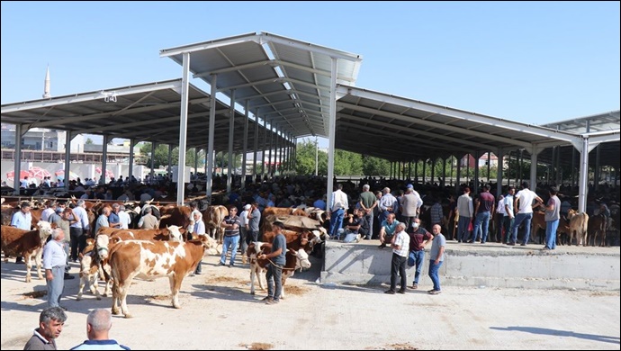 Bozova Yaylak Canlı Hayvan Pazarı Bayram öncesi açık