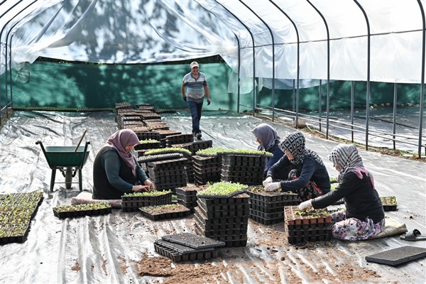 Bursa’nın çiçekleri, dağ bölgesinde açıyor