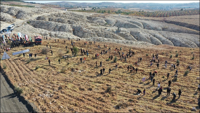 Büyükşehir, 30 Bin Öğretmen İçin 30 Bin Fidanı Toprakla Buluşturdu