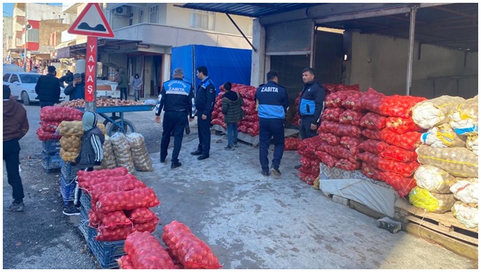 Büyükşehir Zabıta, Akçakale’de Küflenmiş Patates Ele Geçirdi  | VİDEO