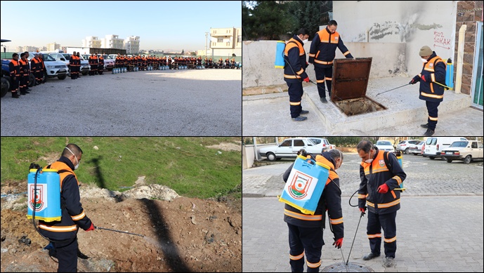 Büyükşehir’de Vektörle Mücadele Çalışmaları Hız Kazandı-(Video)