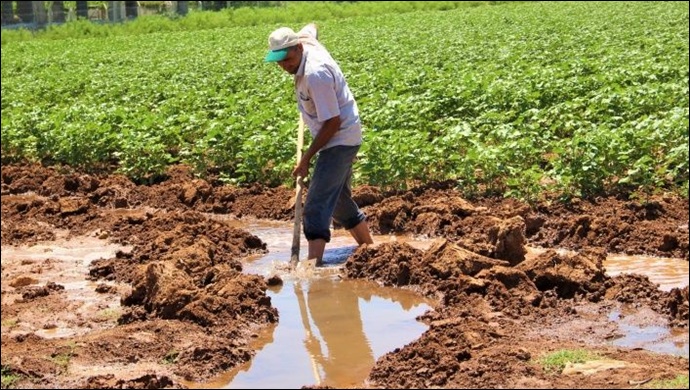 DEDAŞ corona dinlemedi, blokeyi kaldırmadı