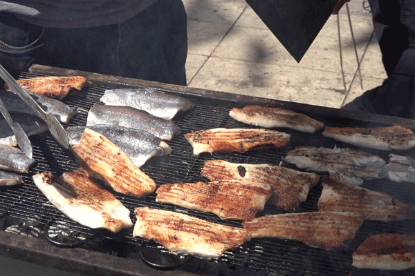 Denizi olmayan şehir Kahramanmaraş'ta balık festivali