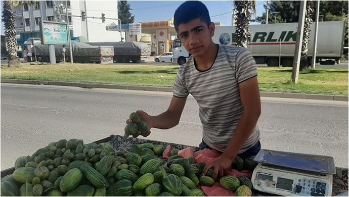 Dışı karpuz, içi kavun, tadı salatalık gibi