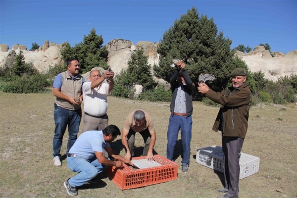 Döğer’de çil keklikler doğaya salındı