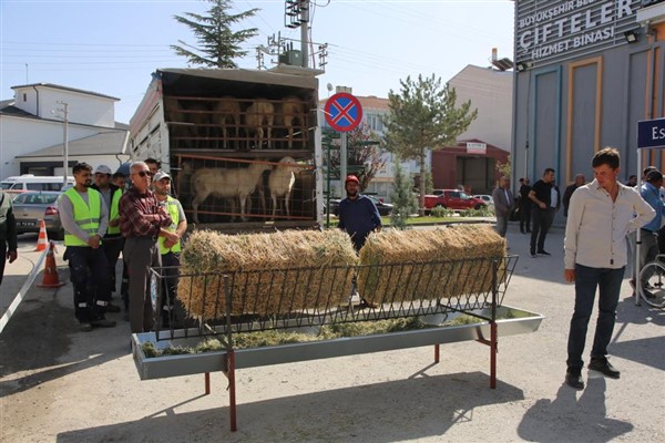 Eskişehir Büyükşehir Belediyesi’nin küçük çiftçiye yönelik desteği sürüyor 