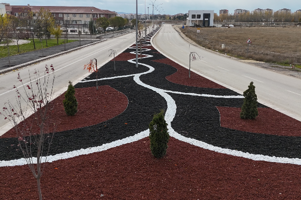 Eskişehir, “Kuru Peyzaj” uygulamasına devam ediyor