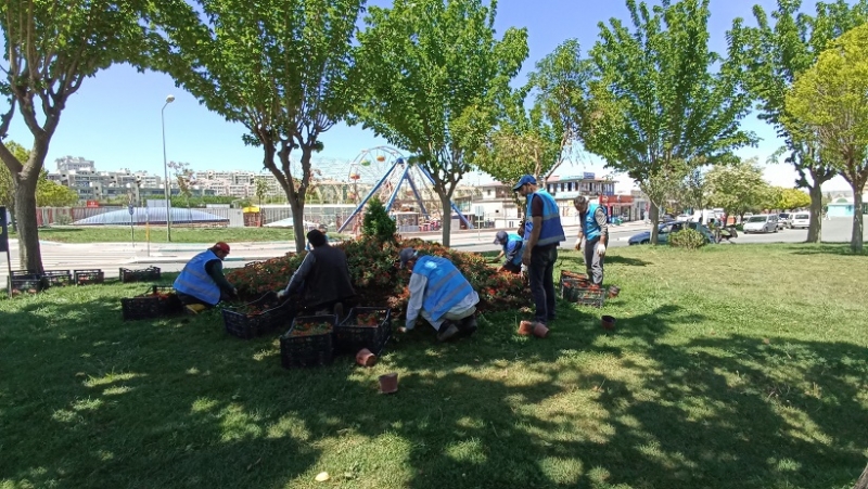 Eyyübiye Parkları Çiçeklerle Renkleniyor-(VİDEO)