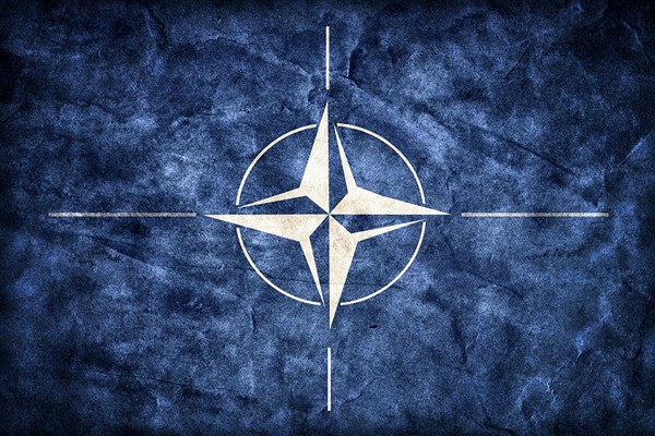 Finlandiya NATO'ya üye olup olmamasına ilişkin kararı 12 Mayıs’ta verecek