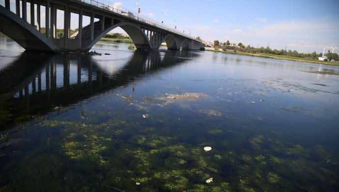 Fırat Nehri çöp akıyor