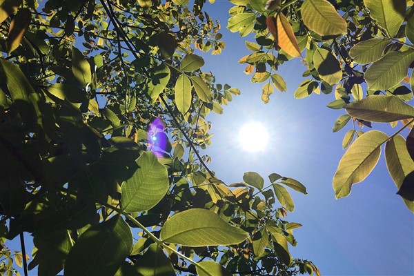 Hava sıcaklığı doğu kesimlerde 2-6 derece artacak