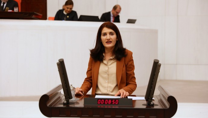 HDP’li Semra Güzel’in dokunulmazlığı kaldırıldı