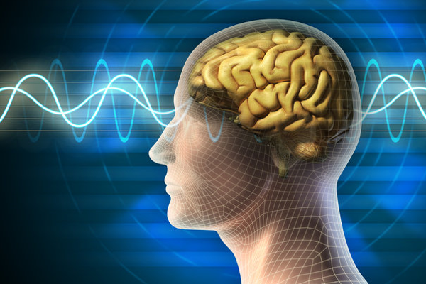 İnsan beyninin gizemli ağı Nörobilim Kongresi’nde konuşulacak