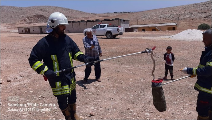 İtfaiye yakaladı: Yılan vatandaşın evine kadar girdi