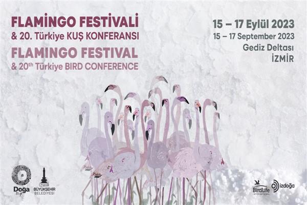 İzmir’de Flamingo Festivali düzenlenecek