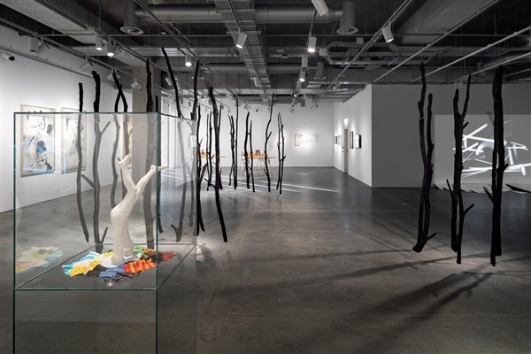 Kadın sanatçılar İstanbul Modern’de