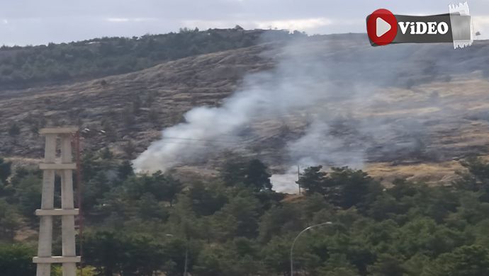 Karaköprü'de ormanlık alanda yangın: Dumanlar gökyüzüne yükseldi