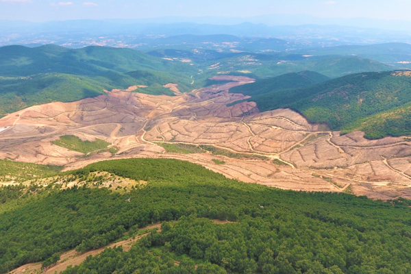 Kaz Dağları’ndan sevindirici haber