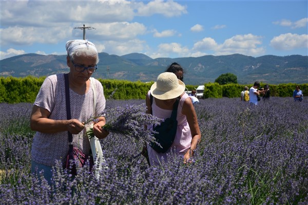 Kazdağları eteklerinde Aromaterapi Festivali 