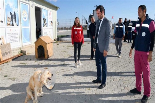 Keşan Belediyesi, 2022 yılı başından bu yana 998 kedi ve köpeği rehabilite etti