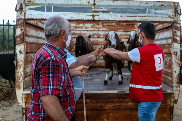 Kızılay’dan Manavgat’a küçükbaş hayvan yardımı