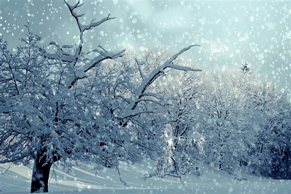 Meteoroloji’den kuvvetli ve yoğun kar yağışı uyarısı