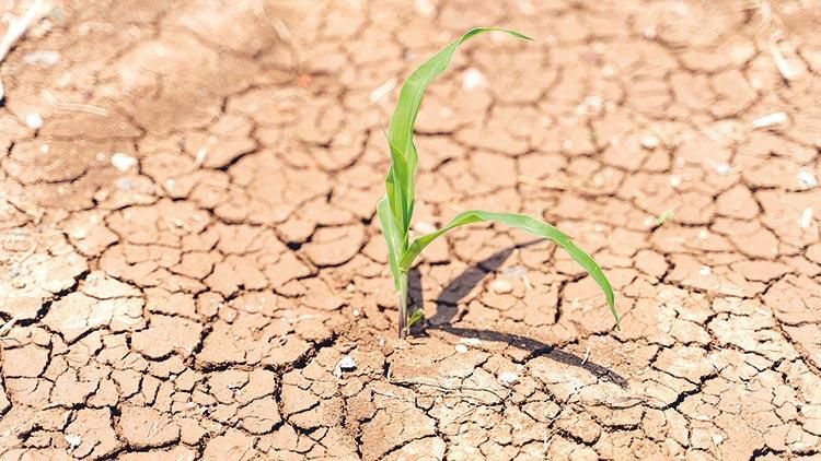 Meteoroloji raporu yayınlandı: Şanlıurfa için olağanüstü kuraklık uyarısı!