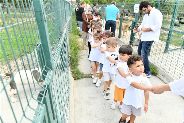 Minik öğrenciler Esenyurt Belediyesi barınağında sevimli dostlarla buluştu