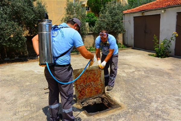 Muğla’da vektörle mücadele çalışmaları devam ediyor