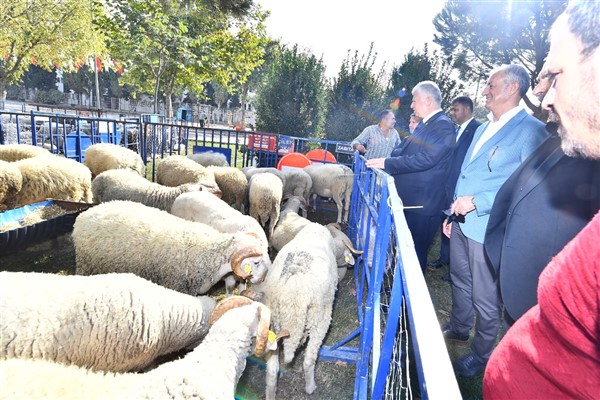 Ödemişli üreticiye küçükbaş hayvan ve yem bitkisi tohumu dağıtıldı