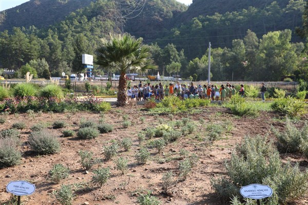 Öğrenciler Marmaris Tıbbi Bitkiler Koleksiyon Bahçesi’ni ziyaret etti 