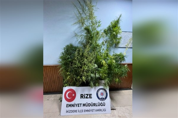 Rize’de asayiş uygulamalarında 14 kişi hakkında adli işlem yapıldı