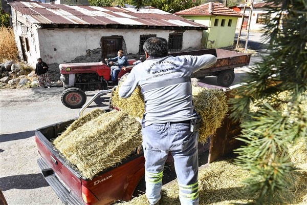 Saman ile arpa kırığı Başkentli çiftçilere ücretsiz olarak dağıtılmaya başlandı