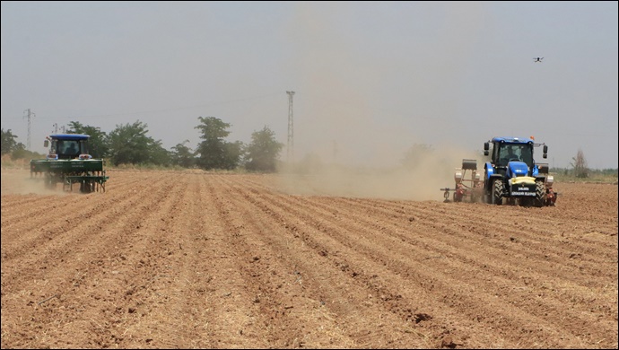 Şanlıurfa Büyükşehir 'den mısır ekimi-(VİDEO)