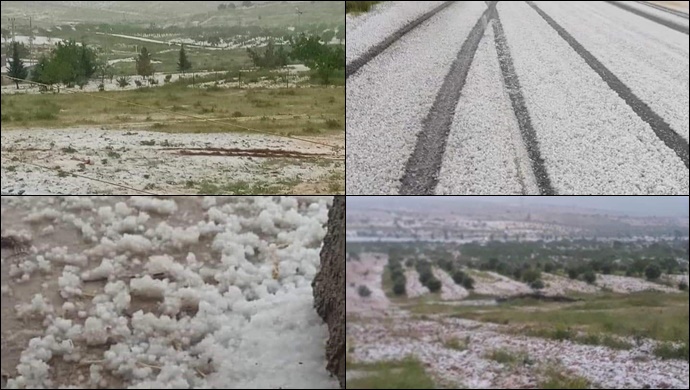 Şanlıurfa 'da dolu yağışı fıstık bahçelerini vurdu